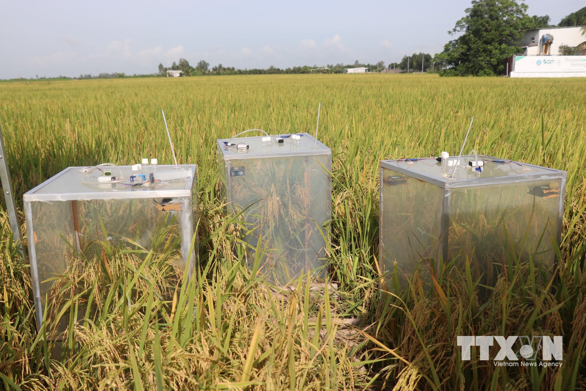 Thiết bị đo khí phát thải được thí điểm trên đồng ruộng ở thành phố Cần Thơ. (Ảnh: Thu Hiền/TTXVN)